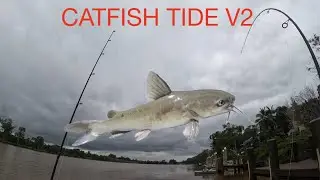 catfish tide v2! double hookups after double hookups