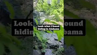 I found this hidden in Alabama #alabamathebeautiful #alabama #waterfalls #hiking