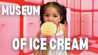 Inside Miami's Ice Cream Museum: Sweet Rooms, Not-So-Sweet Scoops