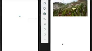 react-native-swiper blinking first slide in android emulator
