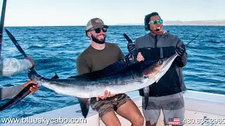 Cabo Fishing Action: Marlin Fishing Vlog