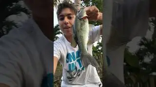 Bluegill Bait Fishing For Bass!❤️ #fishing #cute #nature