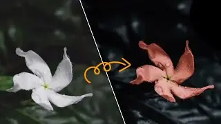 nature photo editing #short