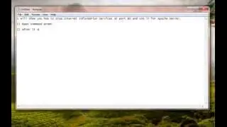 Use port 80 for both IIS and Apache