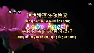 Gu Xing Lei 孤星泪 Andy Lau 刘德华 Mandarin Karaoke No Vocal