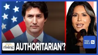 Tulsi Gabbard Defends Jordan Peterson, BLASTS Trudeau's Govt. As 'Increasingly Authoritarian,'