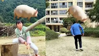 How did a pig fall from the sky and hit me on the head? How did it turn into a group of piglets?