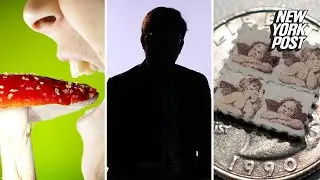 CEOs Reveal Microdosing LSD Increased Company's Revenue by $10 Million | New York Post