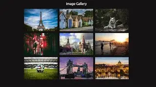 Responsive Image Gallery Using Html & CSS || Overlay Effect
