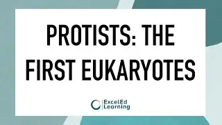 Protists: The First Eukaryotes