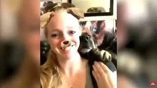 Part 71. Funny animals. Don't try to hold back. Laughter Funny.