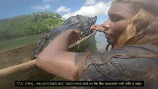 Seagrapes  project documentary by WWF SI