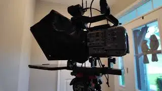 NEEWER Basics X12B Teleprompter 12-inch - Use your own tablet device