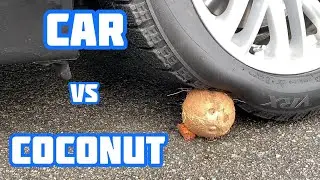 EXPERIMENT: CAR VS COCONUT | Crushing Crunchy and Soft Things by Car!