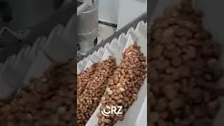 CRZ MAKINA - 500RO NUTS ROASTING MACHINE