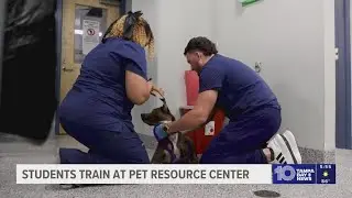 Students get hands-on experience at Hillsborough County Pet Resource Center