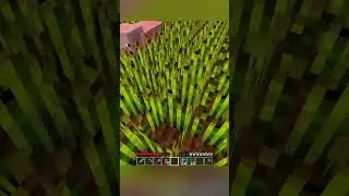 Las cosas m&aacute;s raras en Beta Minecraft