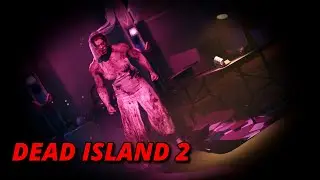 First Time Playing This Zombie Game | With HoshyBob