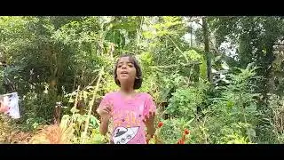 පොදු දේපල සුරකිමු - පුන්චි දෝනිගෙ හඩින්