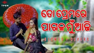 To Premare Pagal Mu Aji (Slowed+Reverb) Lo-fi Songs | Odia Movie Songs | Odia Lofi Song Romantic 