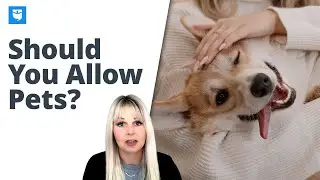 Should I Allow Dogs at My Vacation Rental? (3 Pros & Cons)