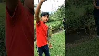 കുട്ടികൾക്ക് വരെ ഇതിനെ പിടിക്കാൻ വളരെ എളുപ്പം.. | Fishing Videos | Traditional Fishing | Anabas Fish