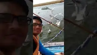 Siberian birds enhance beauty of river sangam in prayagraj.#dr_kamal_kant_rajbhar
