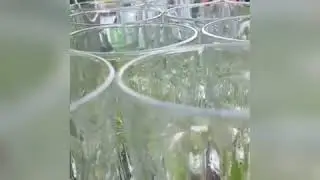 Небольшое промо Nice Bar Show