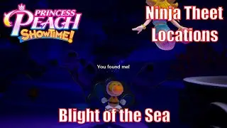 Blight of the Sea - Hide and Seek | Ninja Theet Locations guide