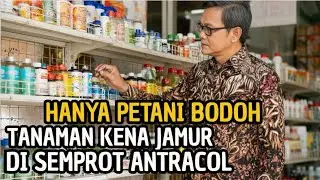 80% Petani Salah Pilih Obat— Dan Merasa Paling Benar