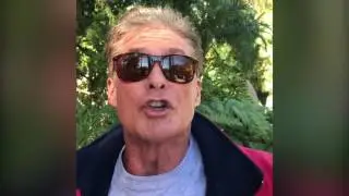 RMJ 2017 - DAVID HASSELHOFF
