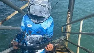My Son Wants to Cook and Eat on the Spot | Darwin Nightcliff Jetty Fishing | Catch and Cook