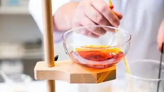 Rosehip's essential ingredients  - what are they and why do they work?