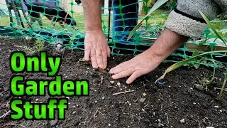 Spring Garden Update - Watering System, Planting, Harvesting Herbs