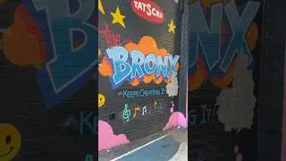 The Culture is So Artistic Out Here! #schoolground #bronx #art #bronxkids #newyorkdiaries #gratitude