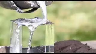 The Wonder of Transparent Aluminum