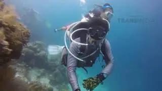 MTMA - Surga Di Maluku (25/11/16) Part 4/5