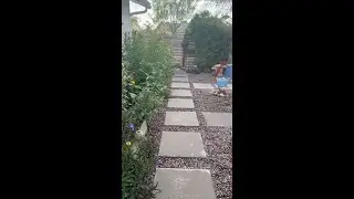 Jill&rsquo;s Garden