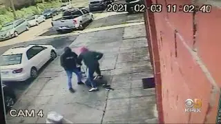 Purse Snatchers Attack Asian Grandmother In Broad Daylight In Oakland