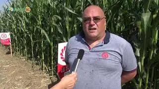 LG Open Harvest Day and Corn portfolio presentation 2019 in Brushlen