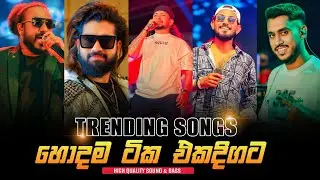 2025 Trending Songs Collection | Best Sinhala Band Songs | Sinhala Live Songs