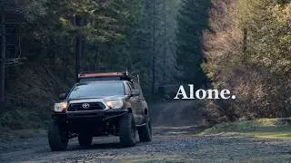 Alone in the Forest | Winter Truck Camping in Mendocino National Forest | V03E01