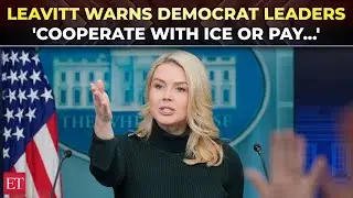 'Lawlessness has consequences': Leavitt unloads on Minnesota Dems, media silence & anti-ICE protests