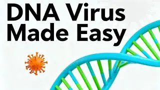DNA Viruses Made Easy | USMLE Step 1, NEET PG, FMGE