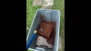 How to use Coco Coir #coconutcoir #perlite #cococoir #soil #gardensoil #garden #howto #amazonfinds