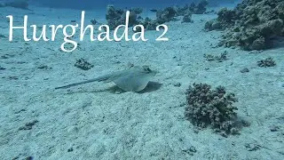Egipt - Hurghada nurkowanie na rafach #2
