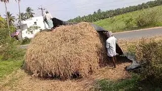 #farming #storage #food #cow #knowledge