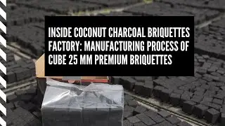 Inside Coconut Charcoal Briquettes Factory: manufacturing process of cube 25 mm premium briquettes