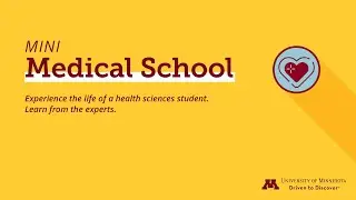 Lifestyle, Equity, and Prevention in Heart Health: Mini Medical School