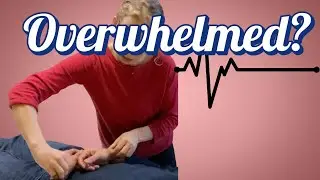 Overwhelmed by Pulse Diagnosis in TJM? Start Here